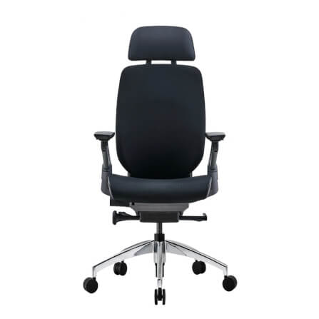 เก้าอี้เพื่อสุขภาพ DF PROCHAIR รุ่น Challenge สีดำ_0